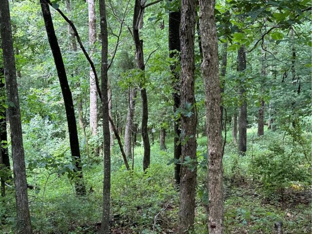 Land for sale in Ark