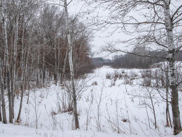 Land for sale in Spring Lake, Minnesota