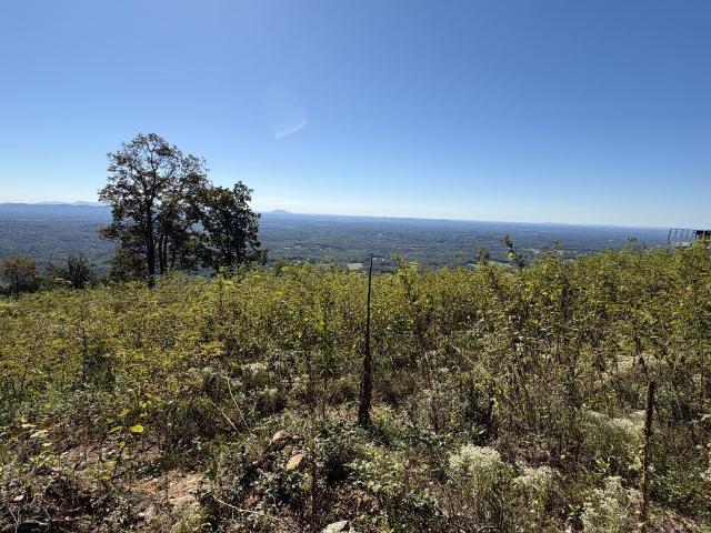 Land for sale in Carroll County, Virginia