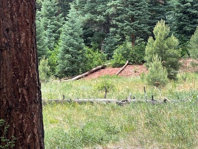 Land for sale in Chama, New Mexico