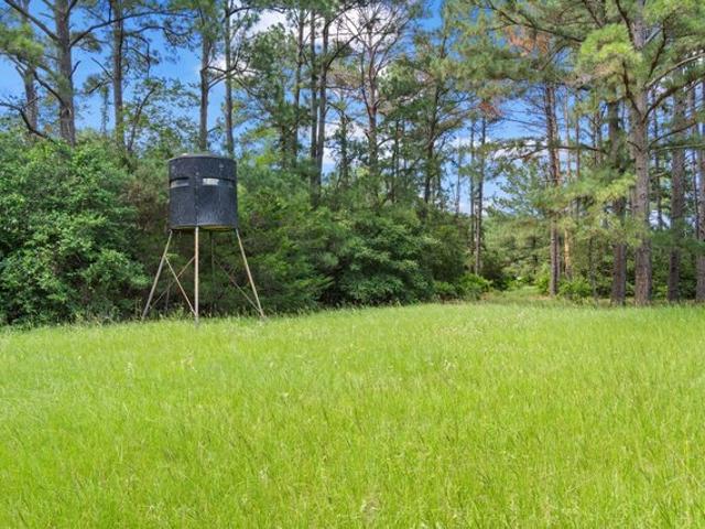 Farm for sale in Paige, Texas