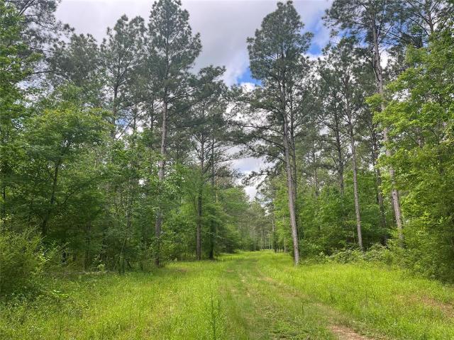 Land for sale in San Augustine