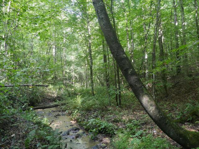 Land for sale in Virginia
