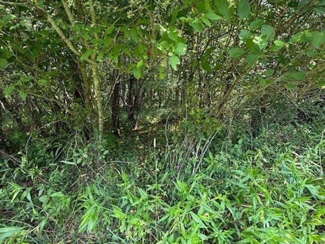 Land for sale in North Carolina