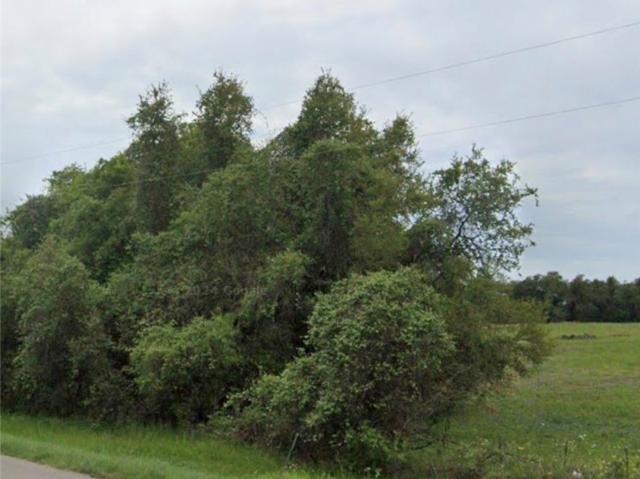 Land for sale in Wilson, Texas