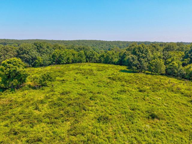 Land for sale in Mount Vernon, Missouri