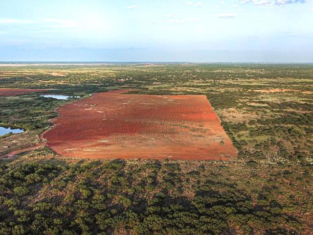Land for sale in Electra, Texas