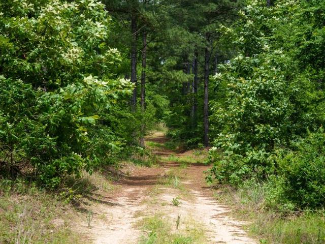 Land for sale in Midway, Van Zandt County