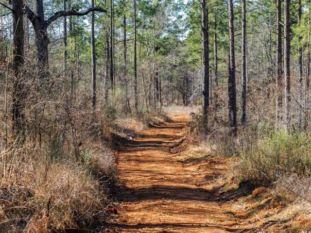Land for sale in Texas