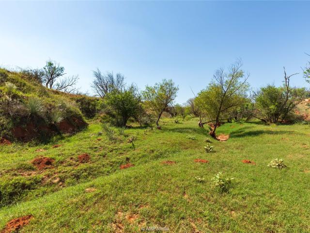 Land for sale in Rotan