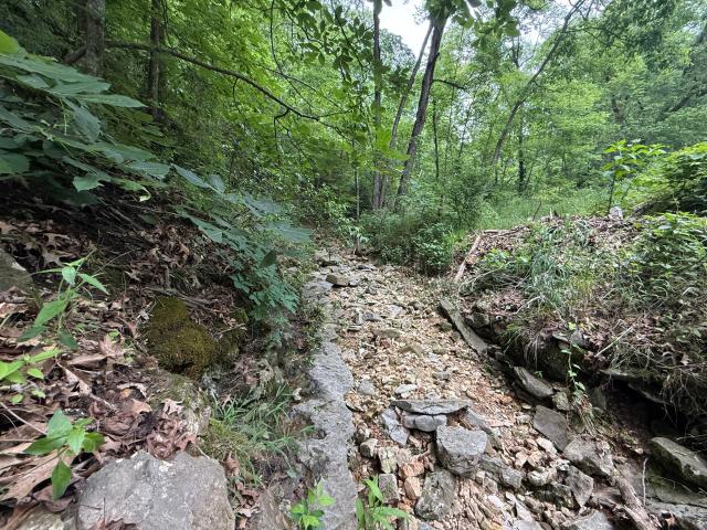 Land for sale in Barry, Missouri