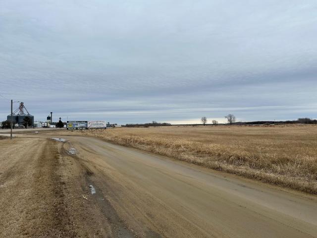 Land for sale in Badger, Minnesota