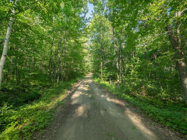 Land for sale in Longville, Minnesota