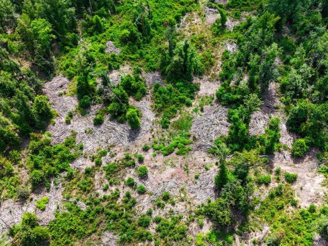 Land for sale in Kirbyville