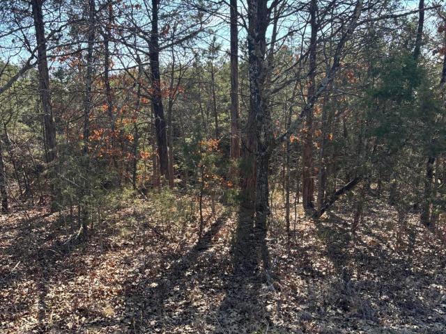 Land for sale in Stone, Missouri