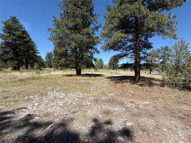 Land for sale in Chama, New Mexico