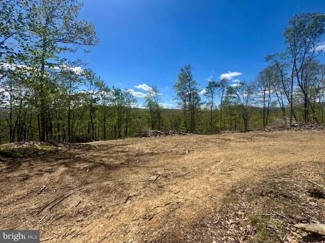 Land for sale in Durbin, West Virginia