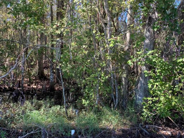 Land for sale in Saint Martin, Louisiana