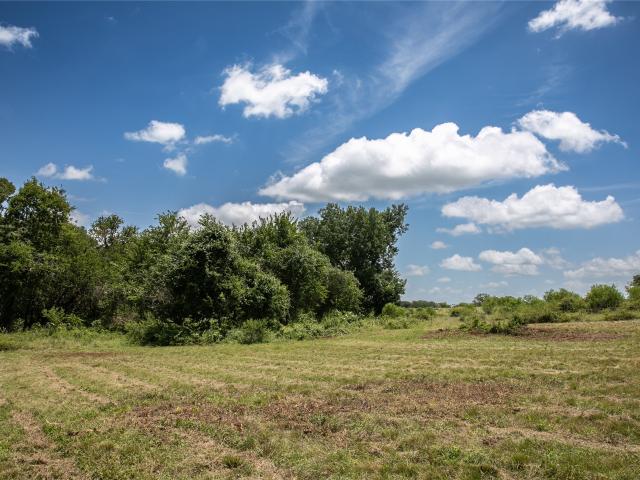 Land for sale in Chappell Hill