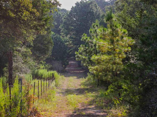 Land for sale in Paige, Texas