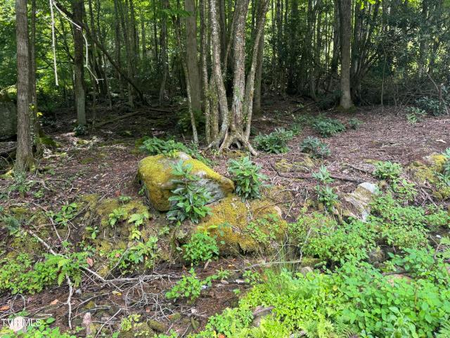 Land for sale in Tennessee