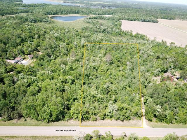 Land for sale in Beltrami, Minnesota