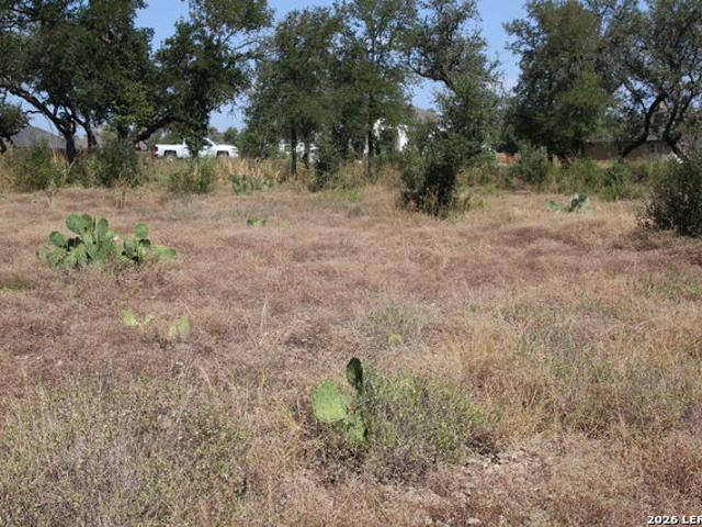 Land for sale in Castroville, Medina County
