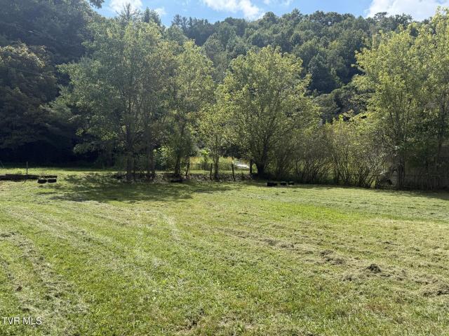Land for sale in Stonega, Appalachia