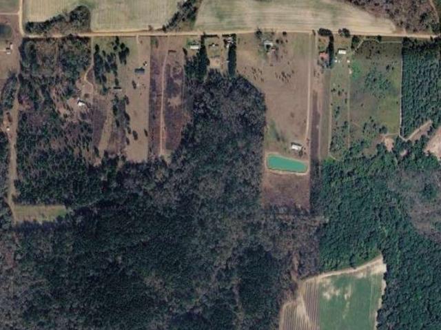 Land for sale in Arabi, Georgia