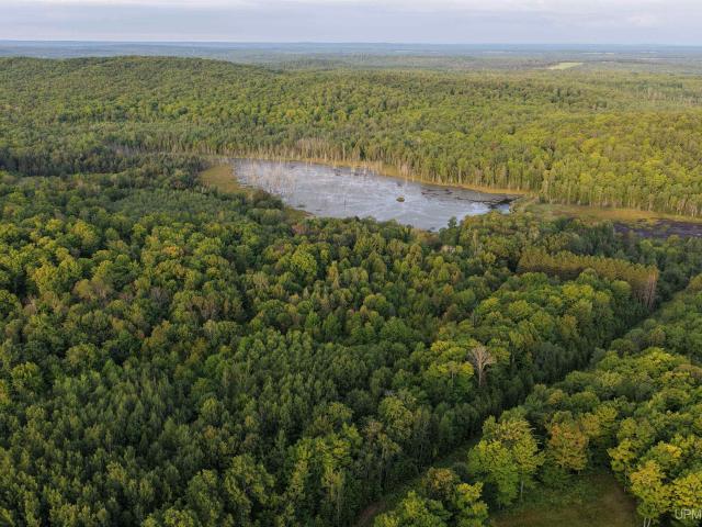 Land for sale in Stannard Township, Ontonagon County