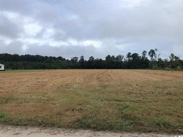 Land for sale in Green Sea, Horry County