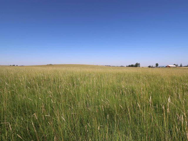 Property for sale in Orofino, Idaho
