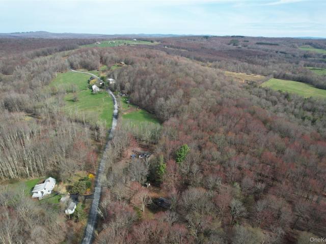 Land for sale in Roscoe, New York