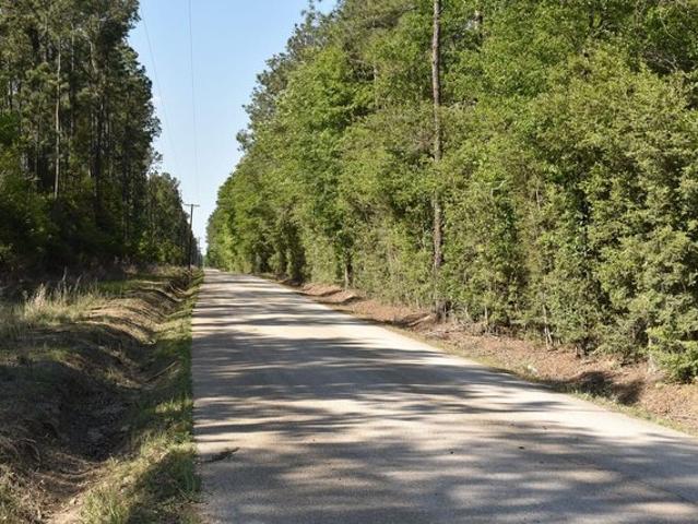 Land for sale in Loranger, Louisiana