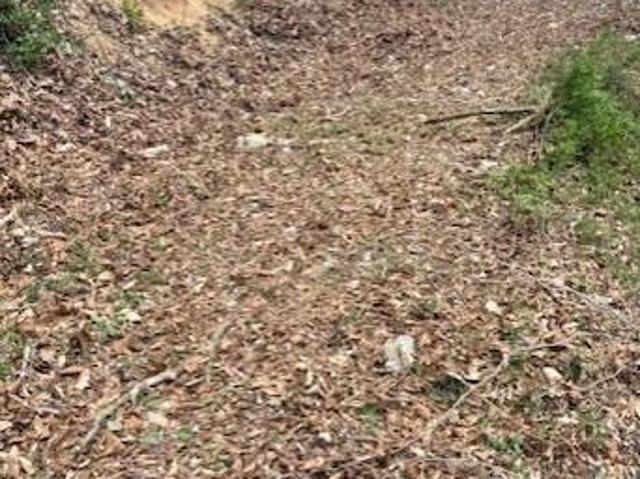 Land for sale in Virginia