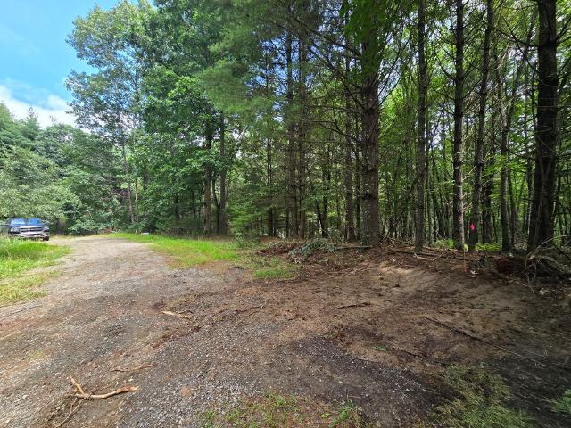 Land for sale in Virginia