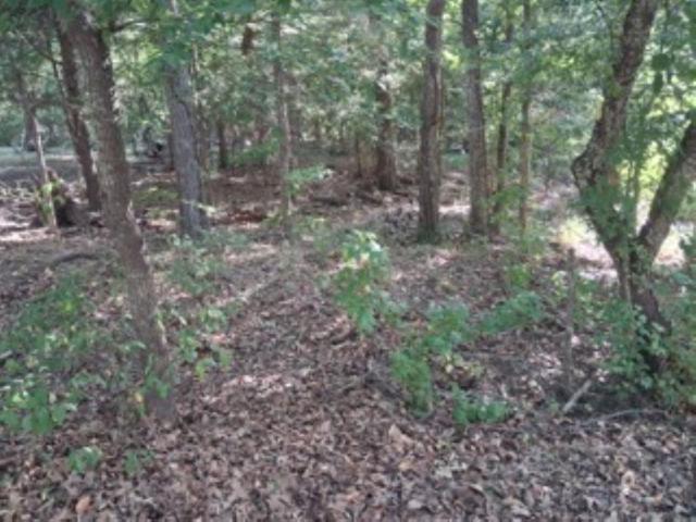 Land for sale in Ben Wheeler, Texas