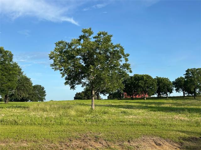 Land for sale in Chappell Hill, Texas
