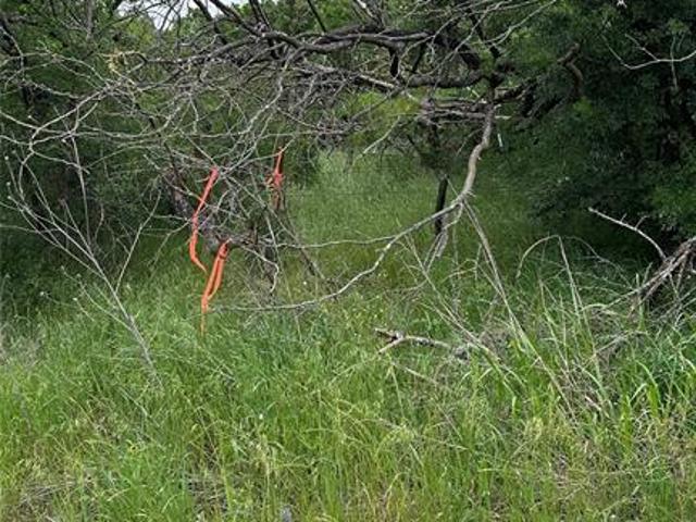 Land for sale in Navarro, Texas