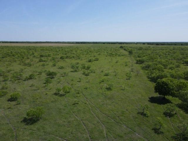 Land for sale in Navarro, Texas