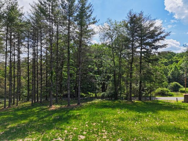 Land for sale in Virginia