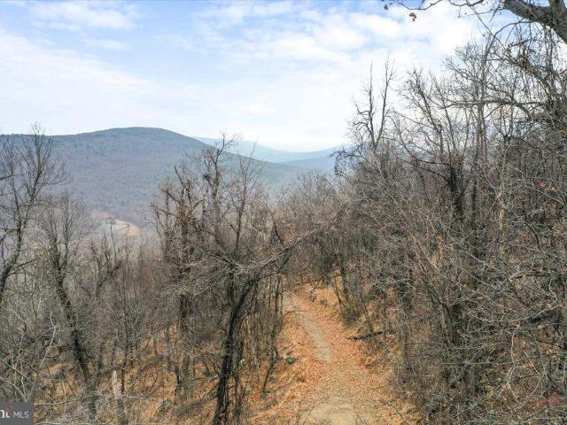 Land for sale in Virginia