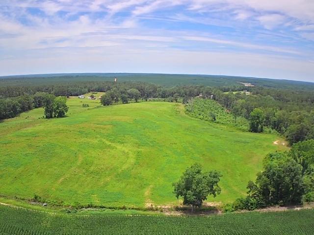 Land for sale in Saint Matthews, South Carolina