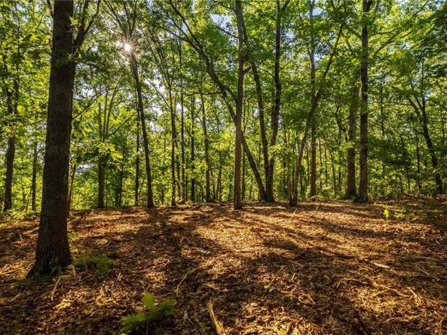 Farm for sale in Osceola, Missouri