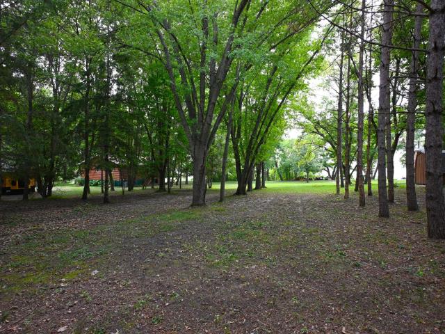 Land for sale in Miltona, Minnesota