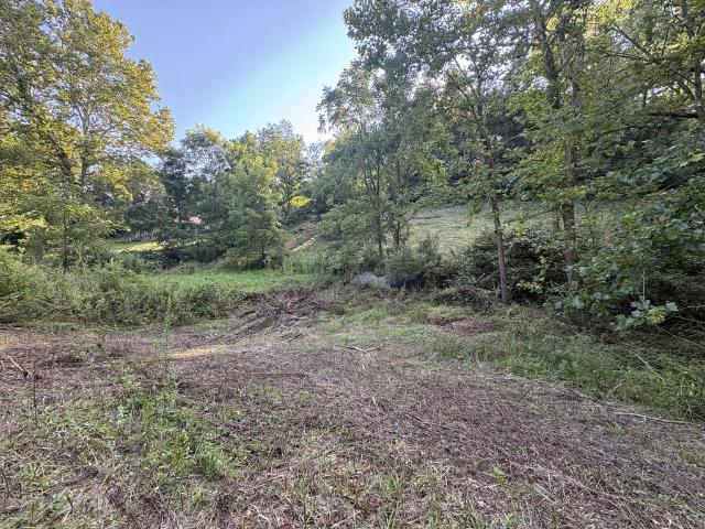 Land for sale in Virginia