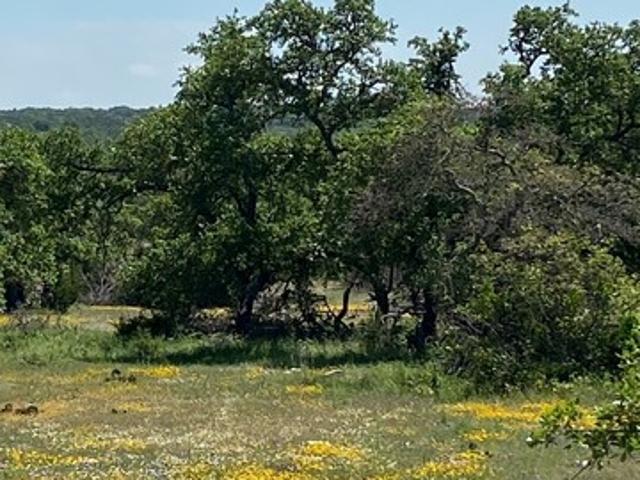Land for sale in Junction, Texas