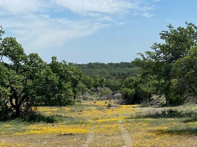 Land for sale in Junction, Texas