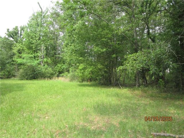 Land for sale in Dry Prong, Grant Parish