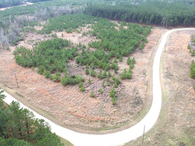 Land for sale in Lovelady, Texas